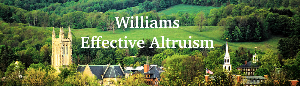 Williams Effective Altruism